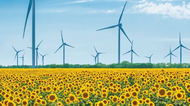 Огляд розвитку вітроенергетичного сектору України за 2019 р. (УВЕА, 2020)