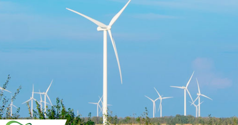 World Wind Energy Association представила звіт за 2022 рік