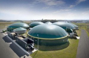 Biogas plant