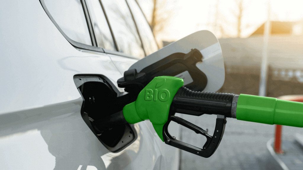 Filling a car with biofuel