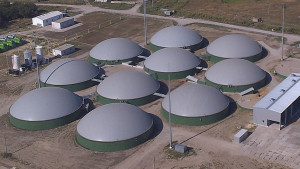 Biogas plant