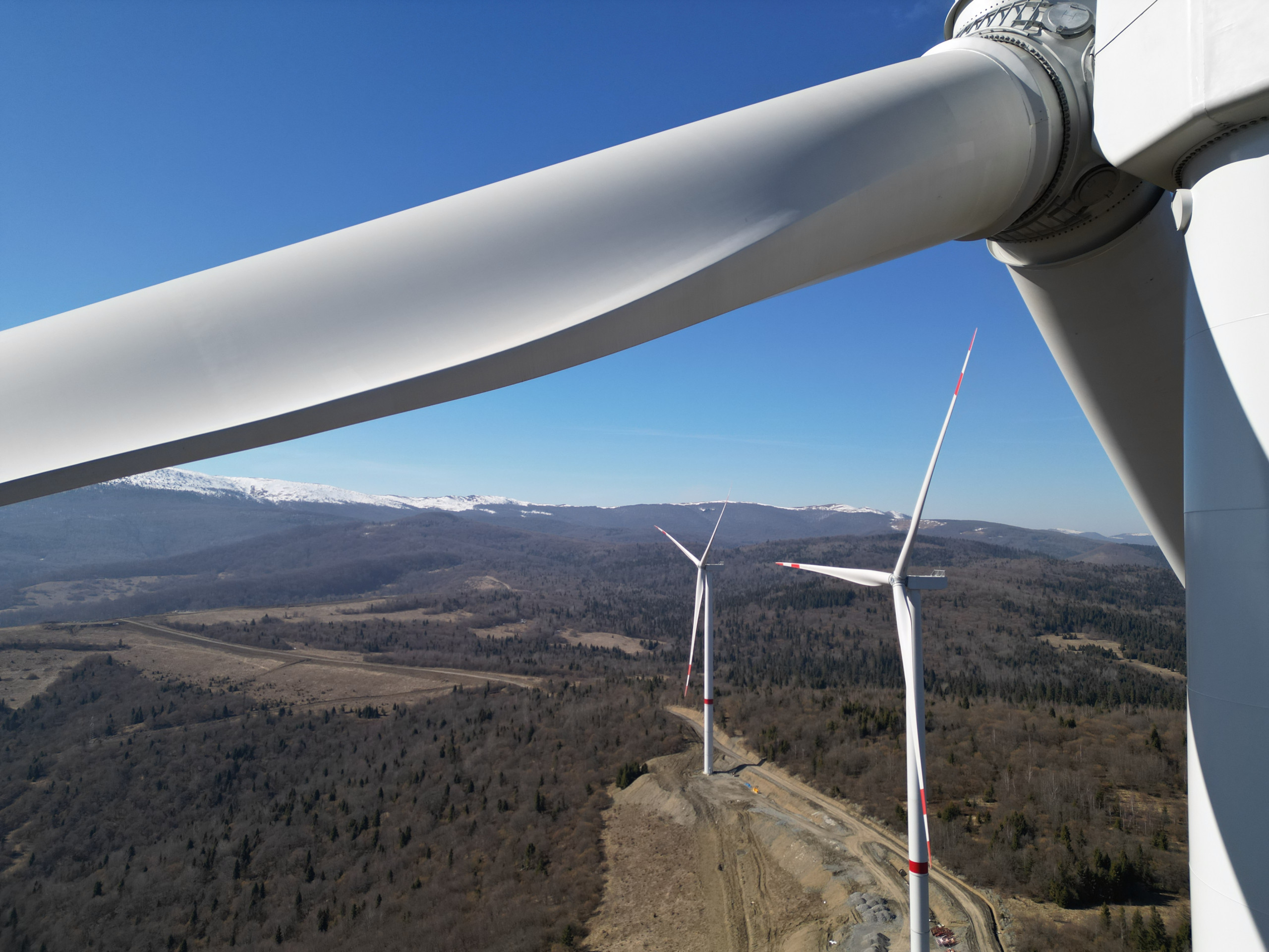 Перша ВЕС Закарпаття: 80 МВт чистої енергії та нова сторінка розвитку регіону