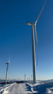 Atlas Global Energy — переможець 100 gREen AWARD–2025